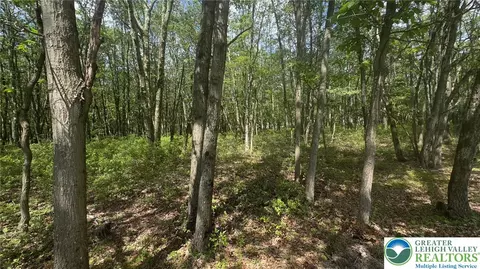 Seneca Trail, Penn Forest Twp, PA 18210
