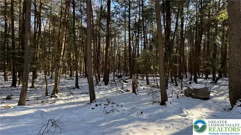 Treetop Lane, Kidder Twp, PA 18210