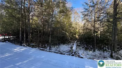 Driftwood Drive, Kidder Twp, PA 18210
