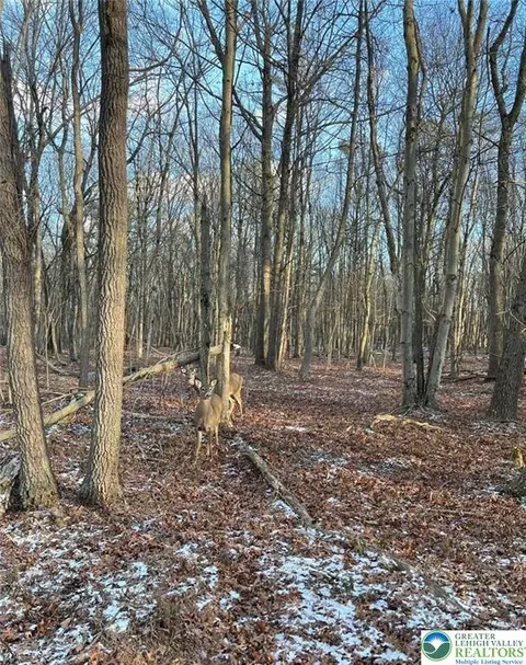 124 Ash Dr, Tobyhanna Twp, PA 18334