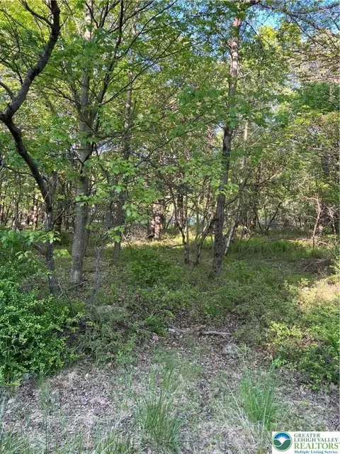 63 Oneida Trl, Penn Forest Twp, PA 18210