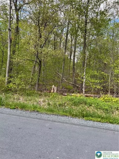 2 Kickapoo Trl, Penn Forest Twp, PA 18210