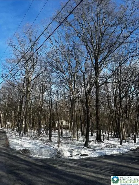 Forest Street, Penn Forest Twp, PA 18235