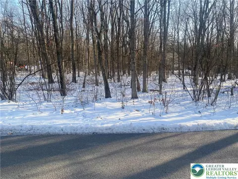 Jeans Drive, Penn Forest Twp, PA 18229