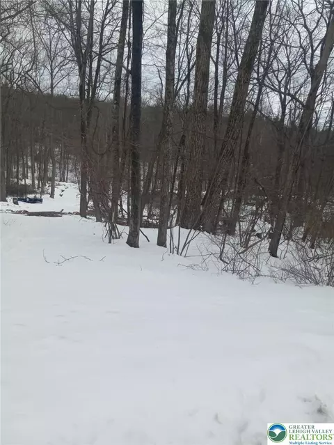 88 Bear Cub Path Trl, Pocono Twp, PA 18355