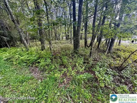 lot14 Ht Bear Ln, Penn Forest Twp, PA 18229