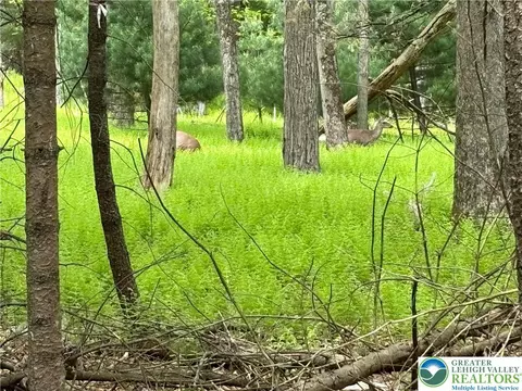 Male Road, Wind Gap Boro, PA 18091