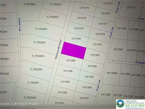Meckesville, Penn Forest Twp, PA 18210