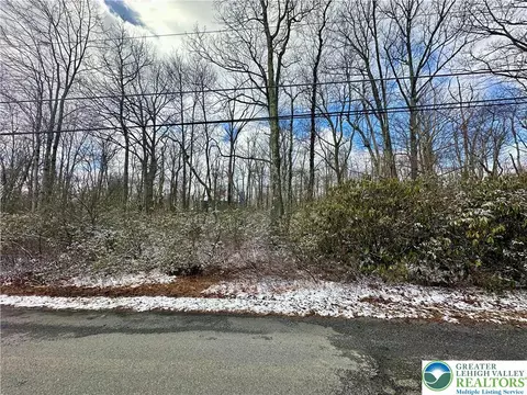 forest lake drive LOT 168, Penn Forest Twp, PA 18229