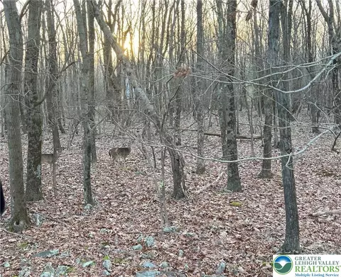 121 Piute Trl #CP1002, Penn Forest Twp, PA 18210