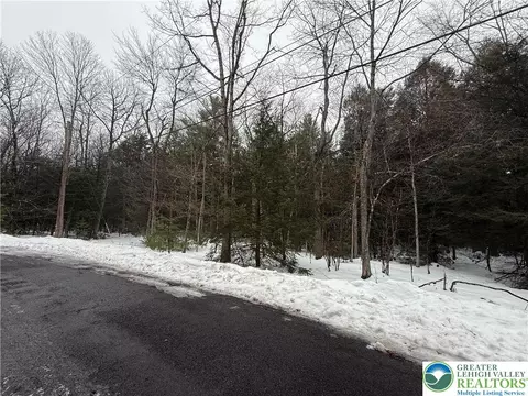 Dryden Drive, Penn Forest Twp, PA 18210
