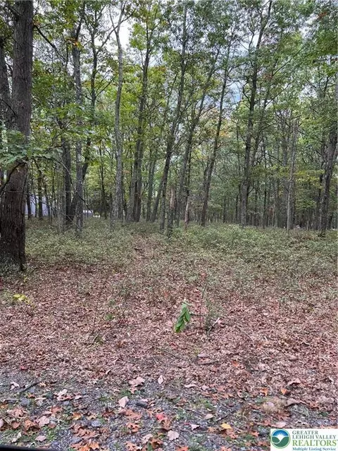 275 Forest Dr, Price Twp, PA 18325