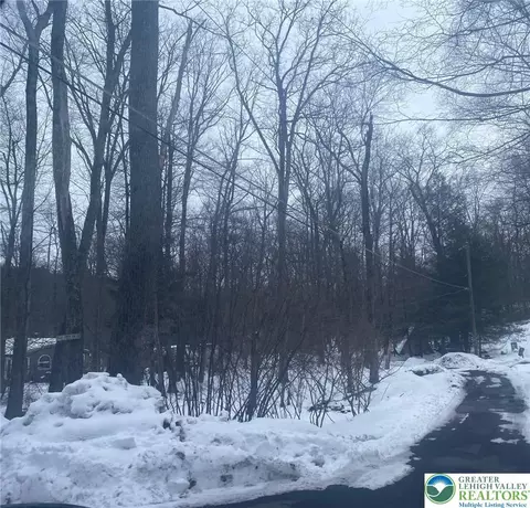 134 Pine Cone Trl, Pocono Twp, PA 18355