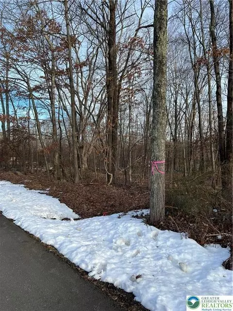 2636 Woodruff Ln, Stroud Twp, PA 18360