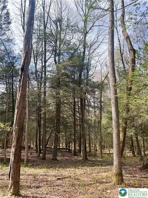 Lakewood Drive, Eldred Twp, PA 18353