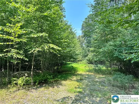 private drive #1C, Price Twp, PA 18332