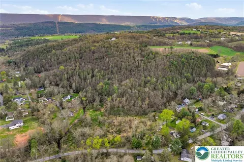 Greenzweig Road, Eldred Twp, PA 18058