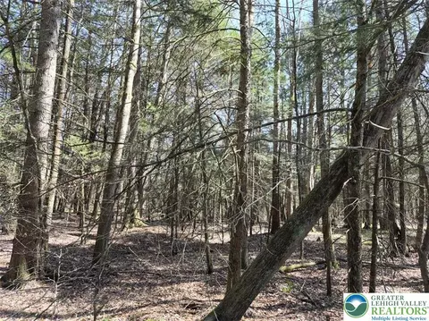 forks bridge road LOT 3B, Stevensville, PA 18845