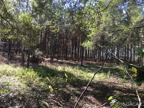 810 SW 6th, Williston, FL 32696 photo 5
