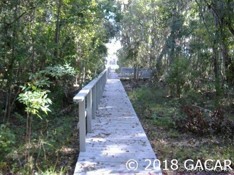 21115 NE 117th, Earleton, FL 32631 photo 1