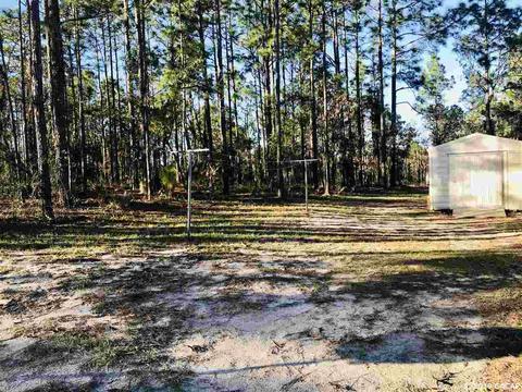 15691 NE 16th, Williston, FL 32696 photo 25