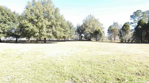 8527 SW 137th, Archer, FL 32618 photo 26
