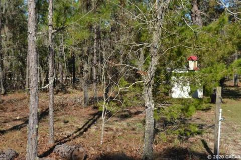850 SE 144, Williston, FL 32696 photo 18