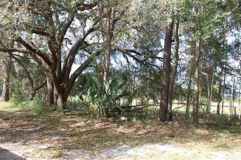 4470 NE 208, Williston, FL 32696 photo 4