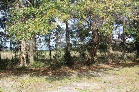 4470 NE 208, Williston, FL 32696 photo 20