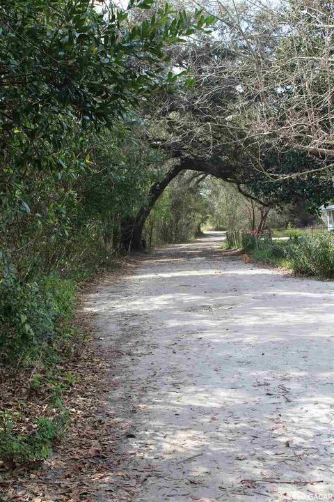 4470 NE 208, Williston, FL 32696 photo 6
