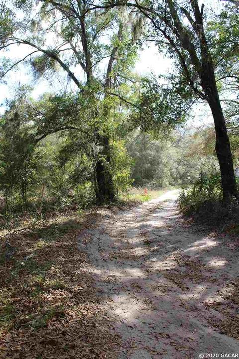 4470 NE 208, Williston, FL 32696 photo 5