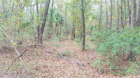 18356 N Highway 329, Reddick, FL 32686 photo 21
