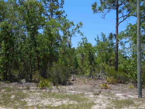 9151 NE 76th, Bronson, FL 32621 photo 2