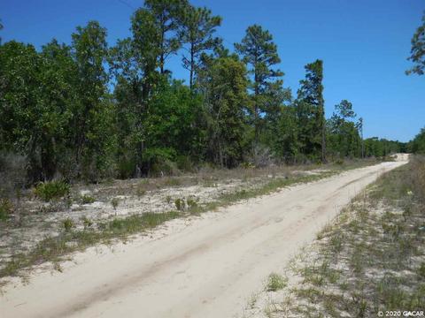 9151 NE 76th, Bronson, FL 32621 photo 3