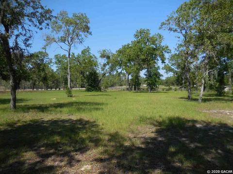 4050 NE 135th, Williston, FL 32696 photo 4
