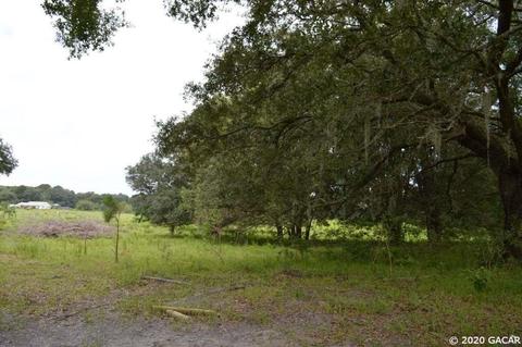 7290 NE 150, Williston, FL 32696 photo 3