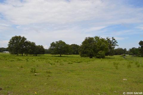 7290 NE 150, Williston, FL 32696 photo 13