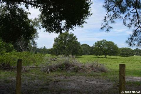 7290 NE 150, Williston, FL 32696 photo 10