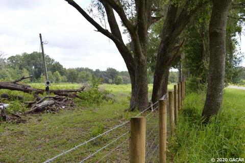 7290 NE 150, Williston, FL 32696 photo 5