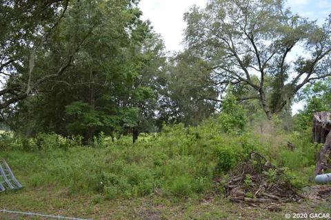 7290 NE 150, Williston, FL 32696 photo 8