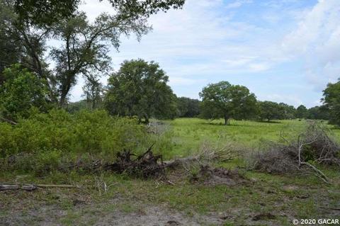 7290 NE 150, Williston, FL 32696 photo 9