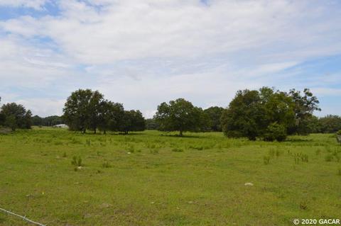 7290 NE 150, Williston, FL 32696 photo 12