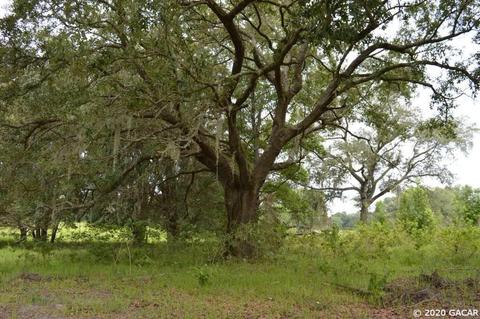7290 NE 150, Williston, FL 32696 photo 2