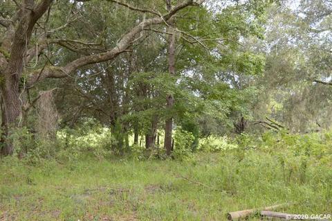 7290 NE 150, Williston, FL 32696 photo 4