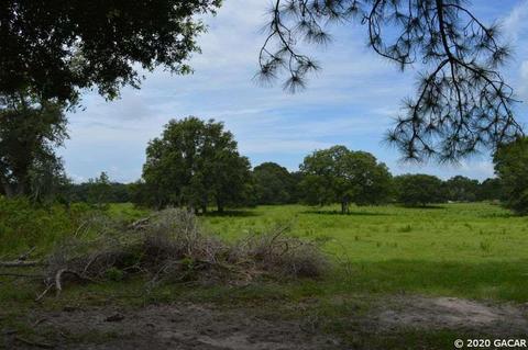 7290 NE 150, Williston, FL 32696 photo 11