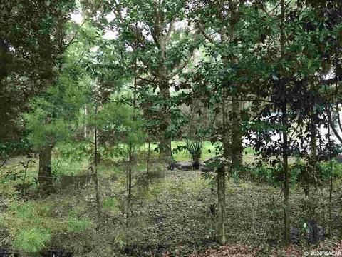10220 NE 68th, Bronson, FL 32621 photo 2