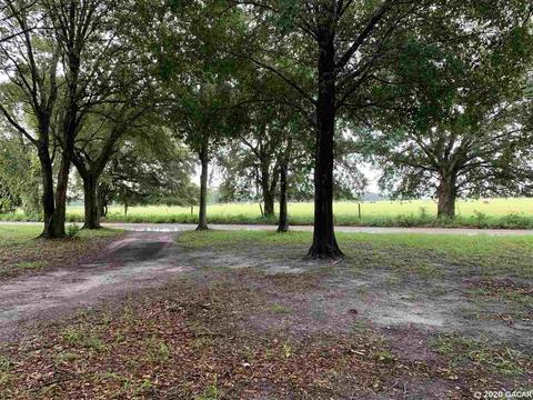15651 NE 45, Williston, FL 32696 photo 12