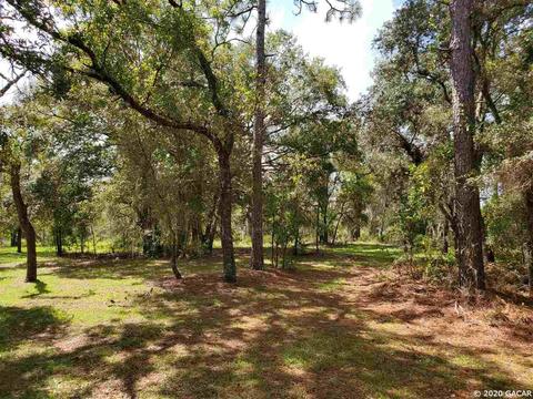 14750 NE 14th, Williston, FL 32696 photo 3