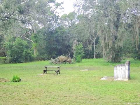 5550 NE 120, Williston, FL 32696 photo 24