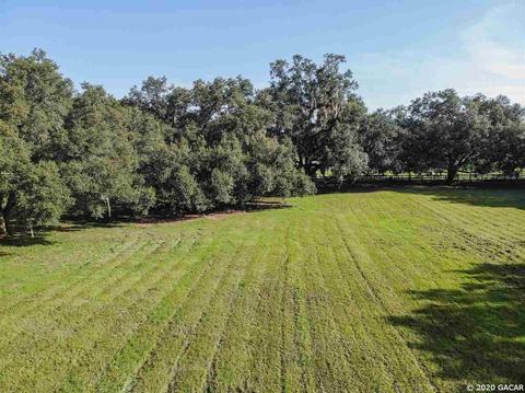16851 NE 50th, Williston, FL 32696 photo 24